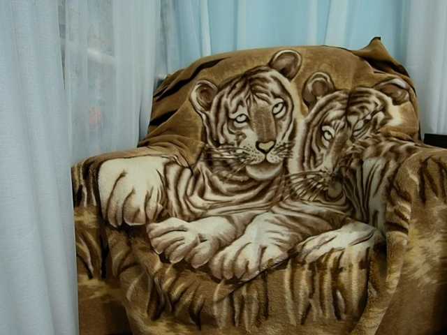 zayka11111 live cam preview