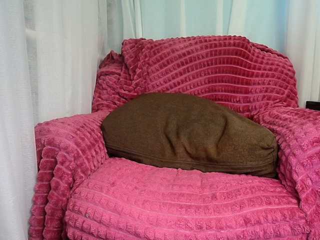 zayka11111 live cam on BongaCams