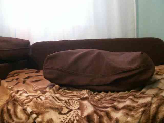 zayka11111 webcam