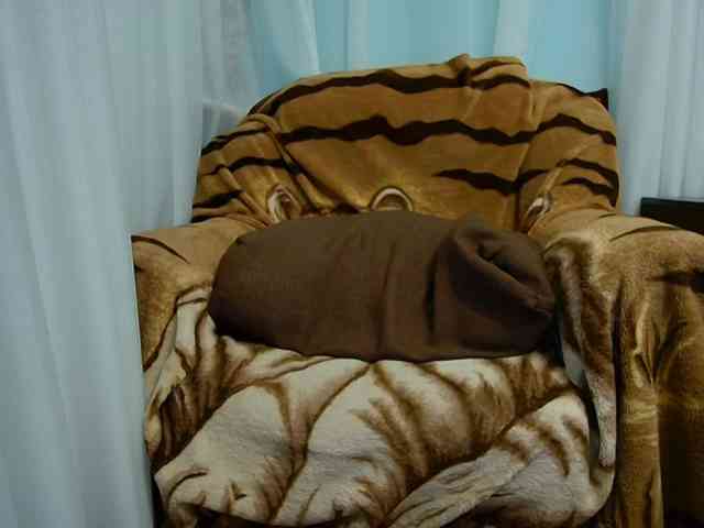 zayka11111 webcam