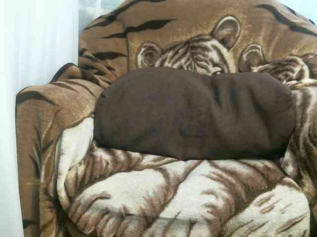 zayka11111 webcam