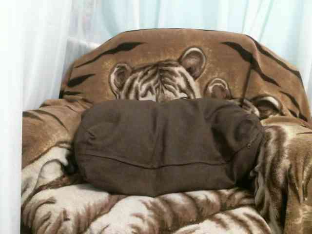 zayka11111 webcam