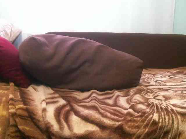 zayka11111 webcam