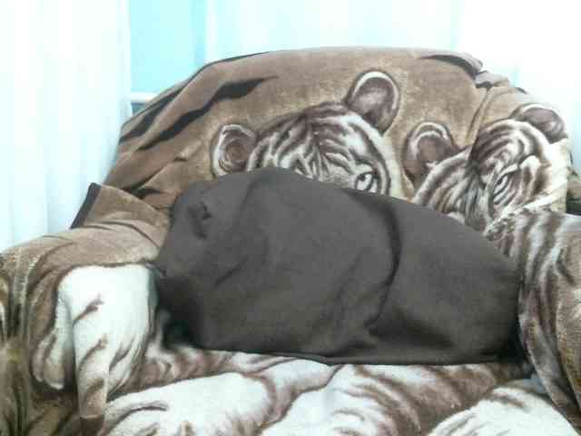 zaykazzz111 Sex Cam Show