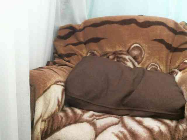 zayka11111 webcam