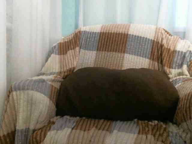 zayka11111 webcam