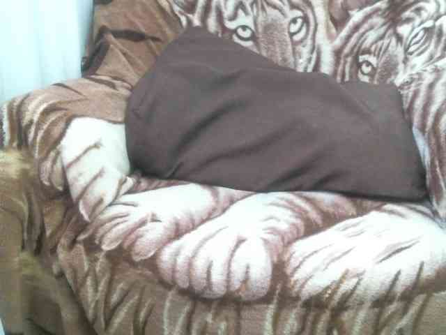 zayka11111 webcam