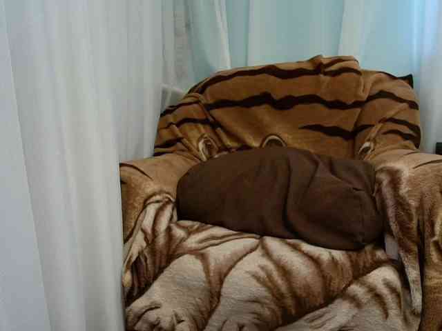zayka11111 webcam