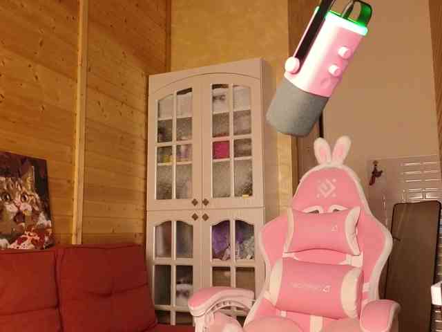 Findom_Lady_Shine webcam