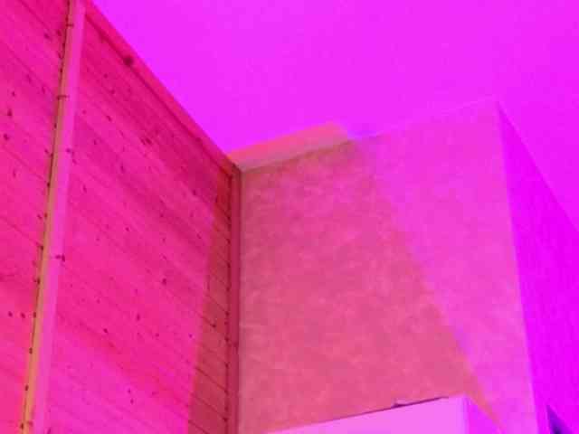 Findom_Lady_Shine webcam