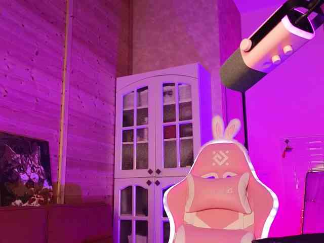 Findom_Lady_Shine webcam