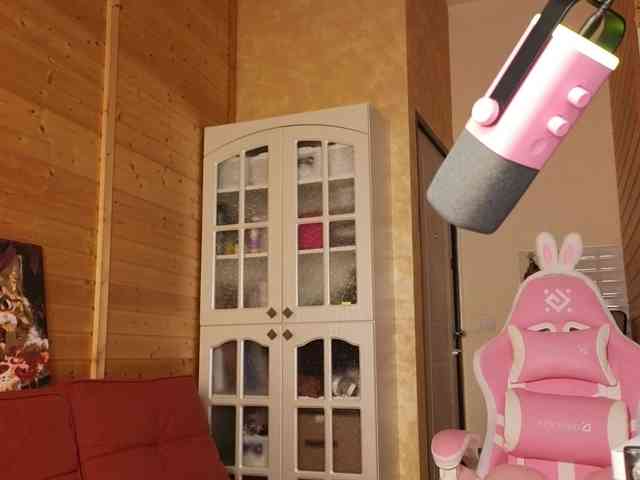 Findom_Lady_Shine webcam