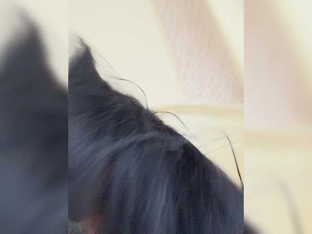 crazyanna9 cam belle