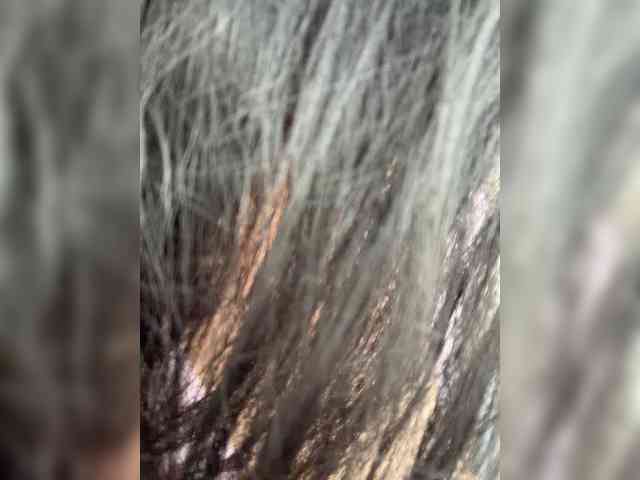 crazyanna9