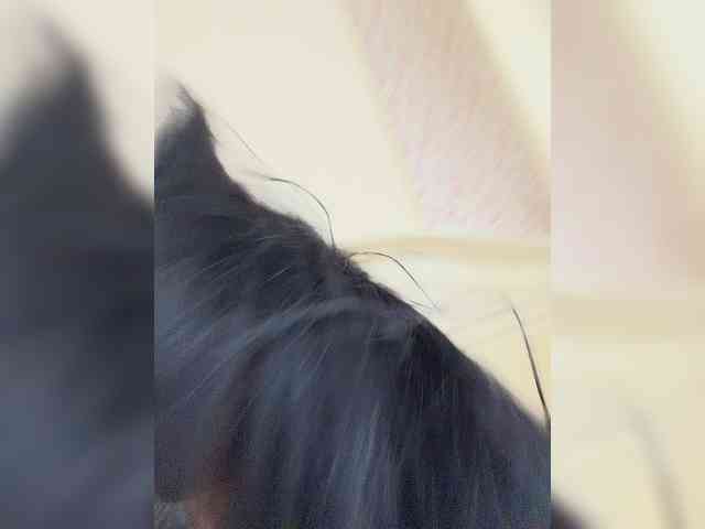 Happy_Doll