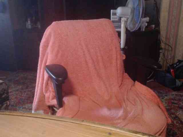 tanyvel webcam
