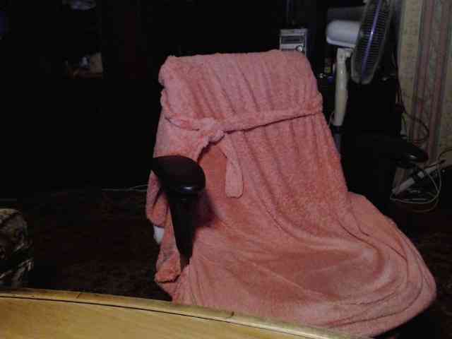 tanyvel webcam