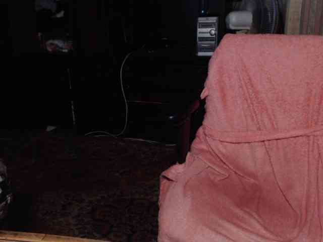 tanyvel webcam