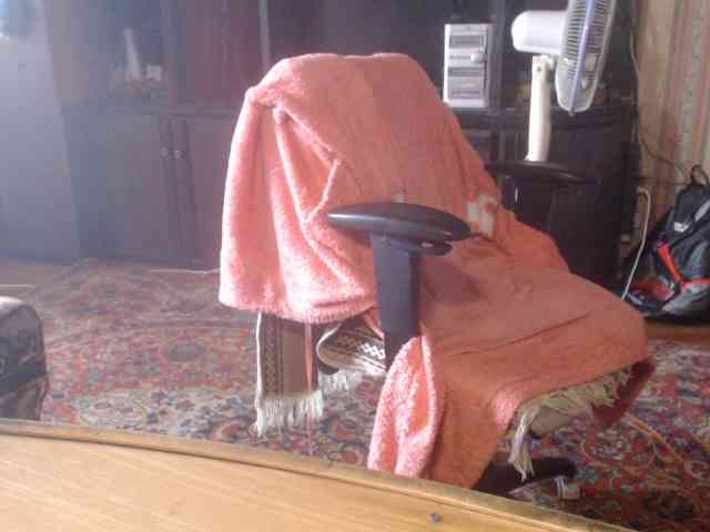 tanyvel webcam