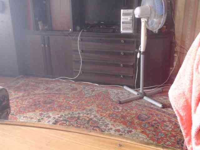 tanyvel webcam