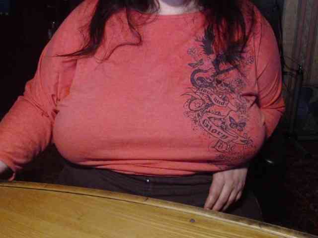 tanyvel webcam