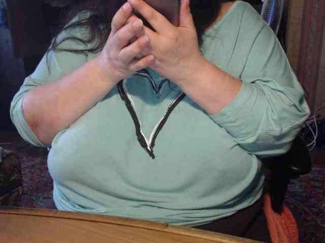 tanyvel webcam