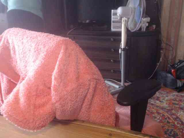 tanyvel webcam