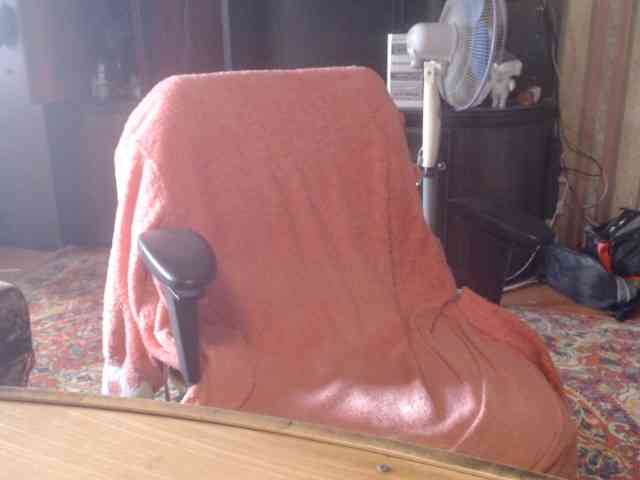 tanyvel webcam