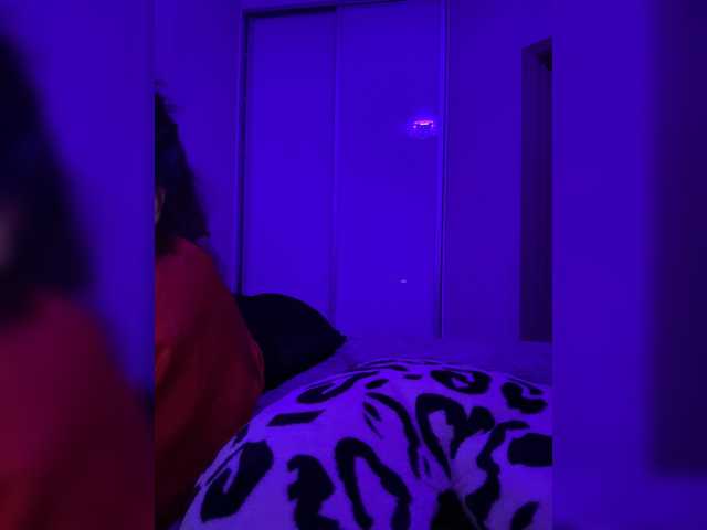 grkvs live cam preview