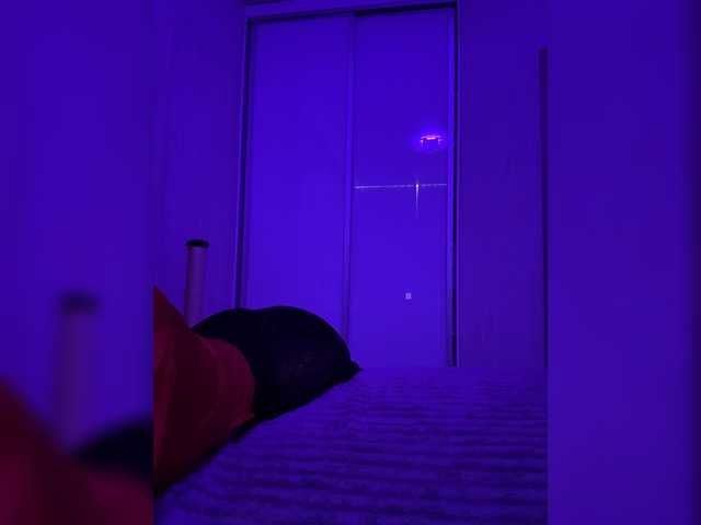 grkvs live cam preview