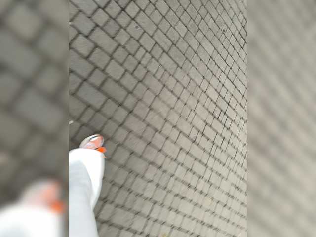 grkvs live cam preview