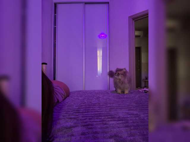 grkvs live cam preview