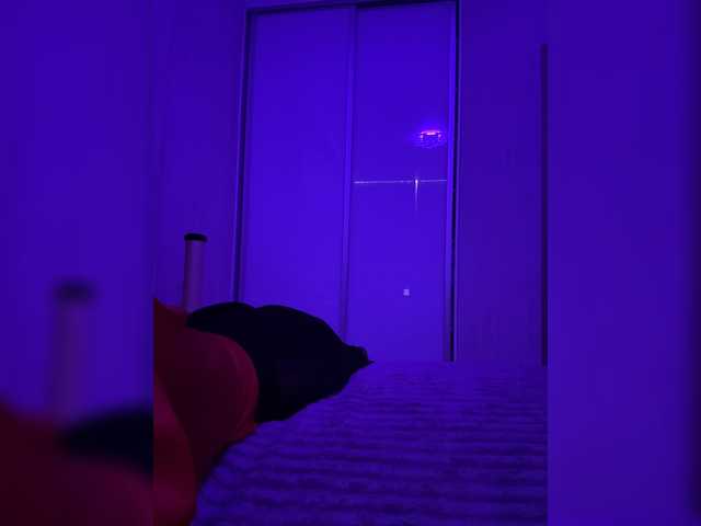 grkvs live cam preview