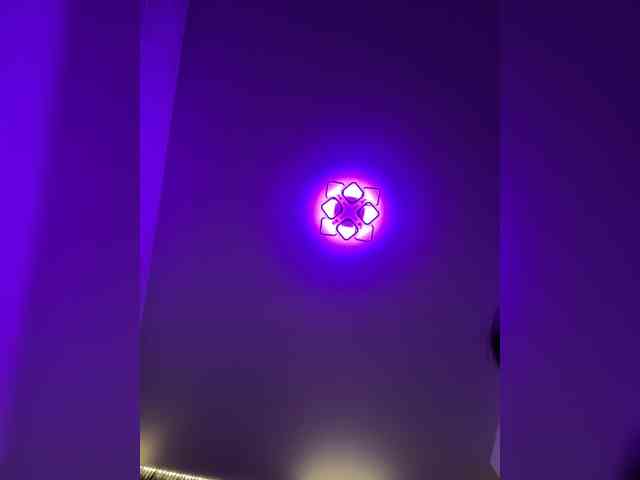 grkvs webcam