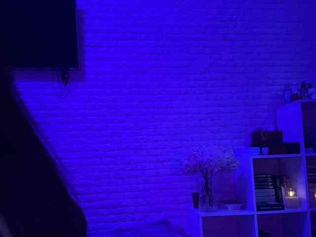 grkvs webcam