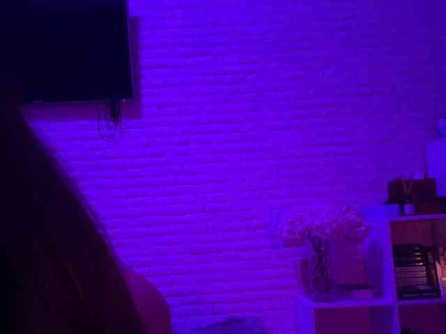 grkvs webcam