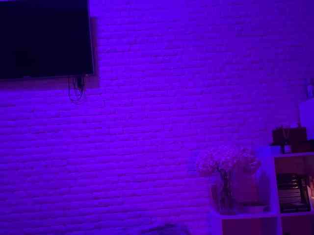 grkvs webcam