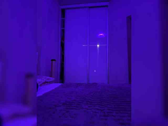 grkvs webcam