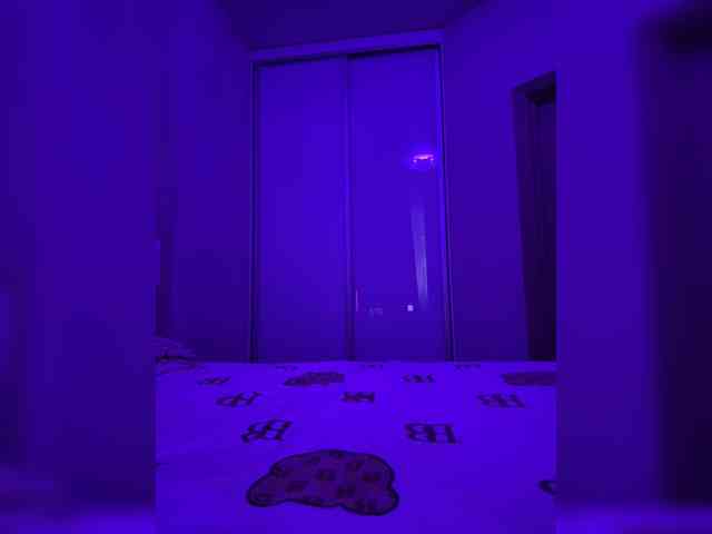 grkvs webcam