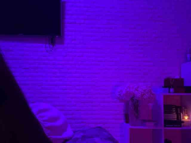 grkvs webcam