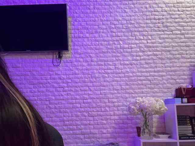 grkvs webcam