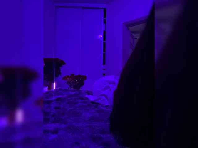 grkvs webcam