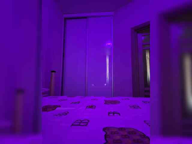 grkvs webcam