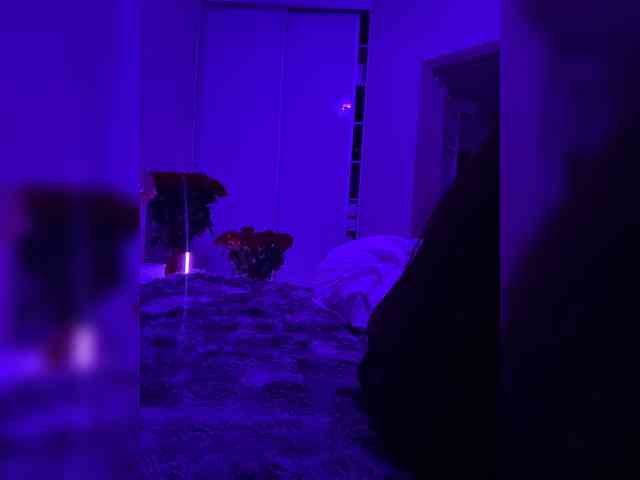 grkvs webcam