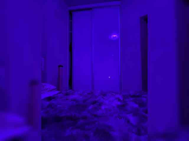 grkvs webcam