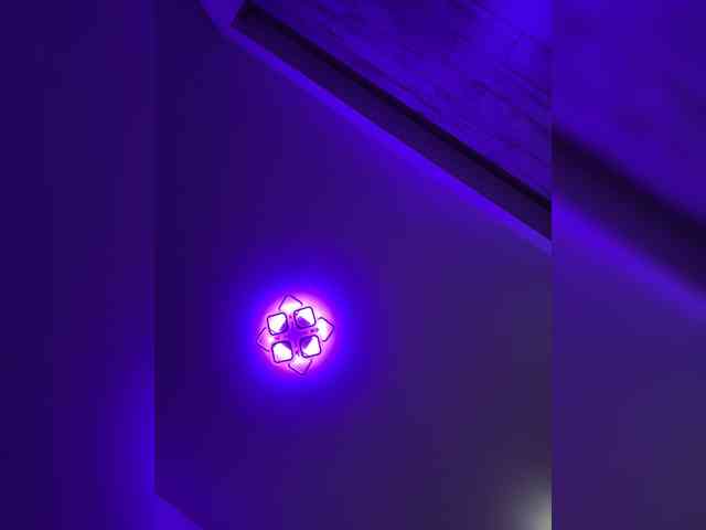 grkvs webcam