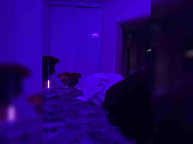 grkvs webcam