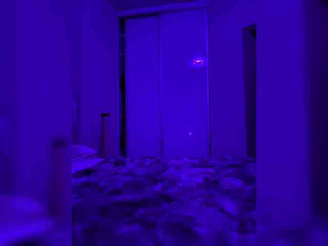 grkvs webcam