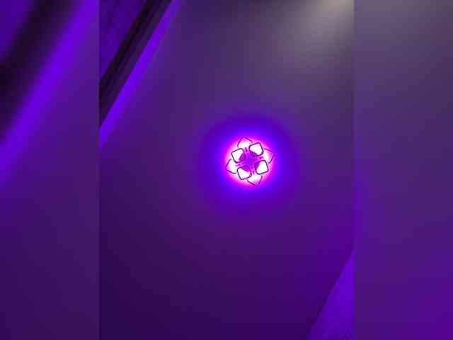 grkvs webcam