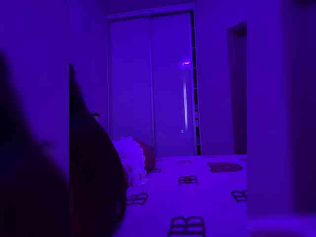 grkvs webcam